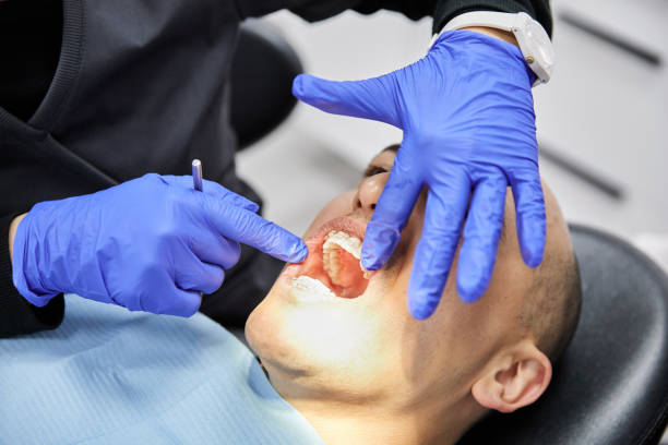  Shorewood Tower Hills Harbert, MI Emergency Dentist Pros